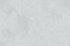 papel-de-parede-colorkey-ref-COL1048