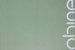 Papel-de-Parede-Revoada-Capa