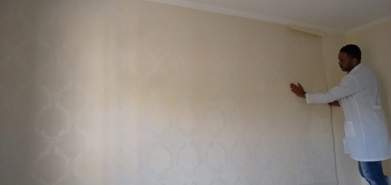 Online Wallpaper Course USA